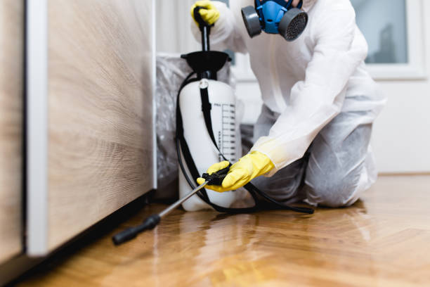 Best Rat Extermination Near Me  in Baldwinsville, NY