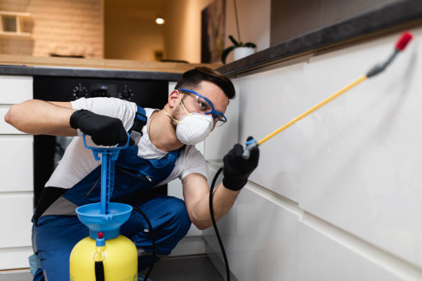 Best Pest Control Near Me  in Baldwinsville, NY