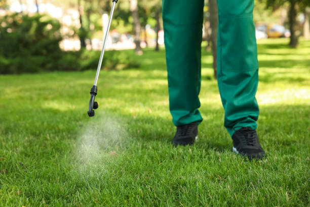 Best Pest Inspection Near Me  in Baldwinsville, NY