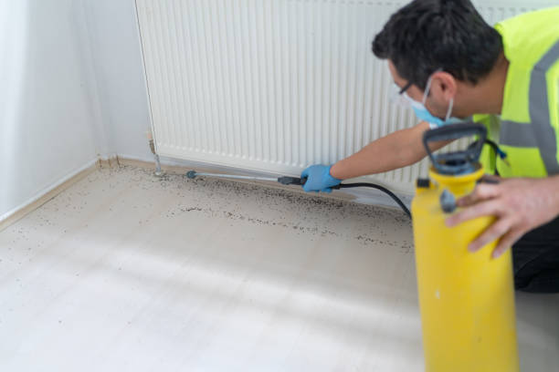 Best Affordable Pest Control Services  in Baldwinsville, NY